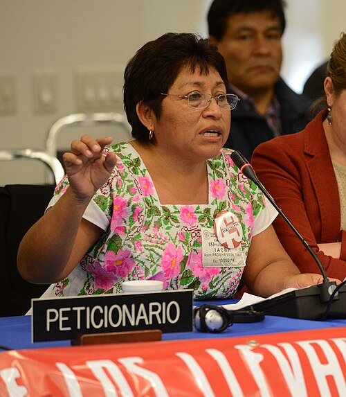 Leydy Pech speaking into a microphone at a hearing table behind a sign reading Peticionario